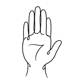 Hand held up, palm facing the dog