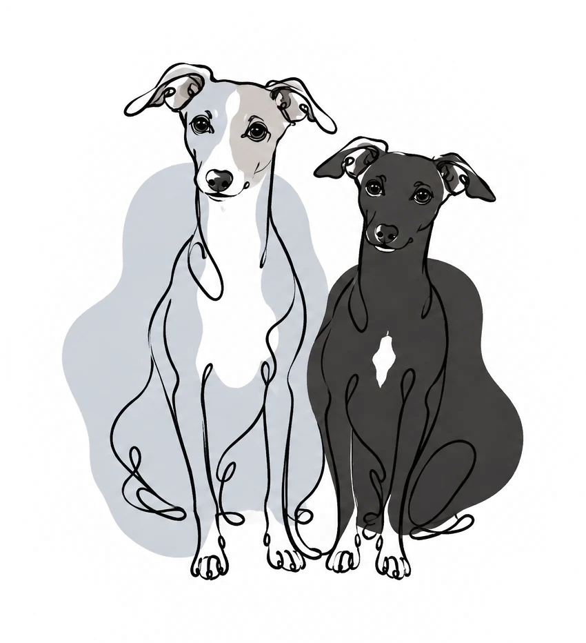 A single continuous ink line drawing of Zeus and Ziggy sitting side by side. Zeus is the larger dog on the left with a pale blue-grey wash and a white blaze; Ziggy is the smaller dog on the right in near-black seal.